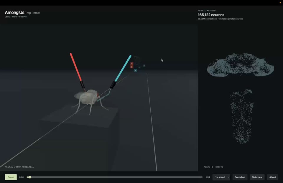Beat Saber fly project preview