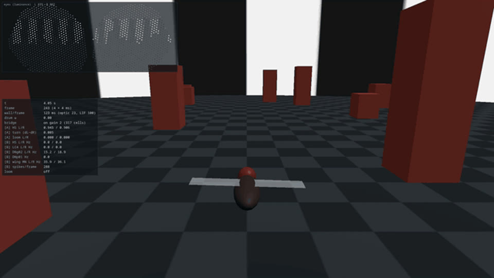 Closed-Loop Fly project preview