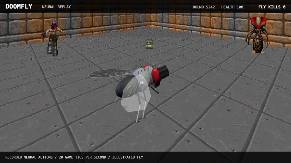 Doomfly project preview