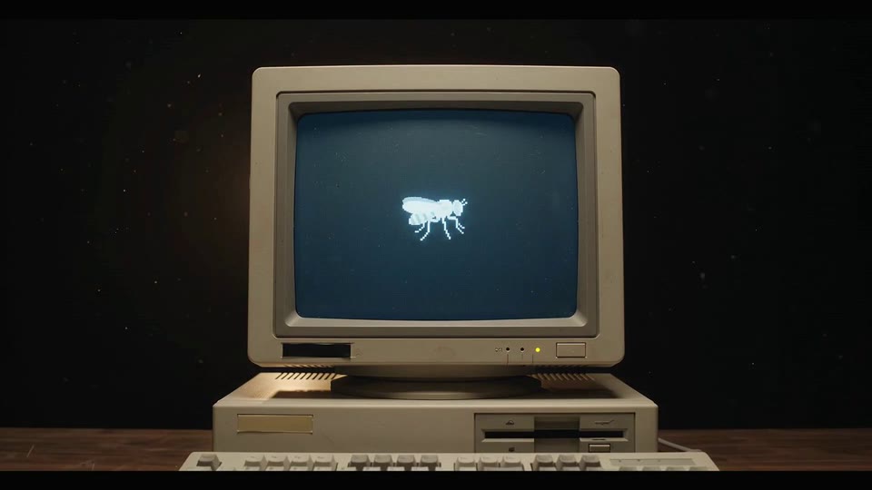Fly Language Model project preview