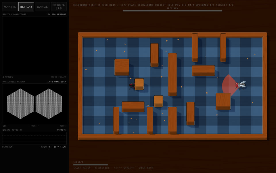 FlyBrain Arena project preview