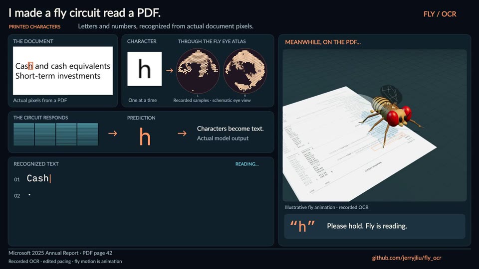 FlyOCR project preview