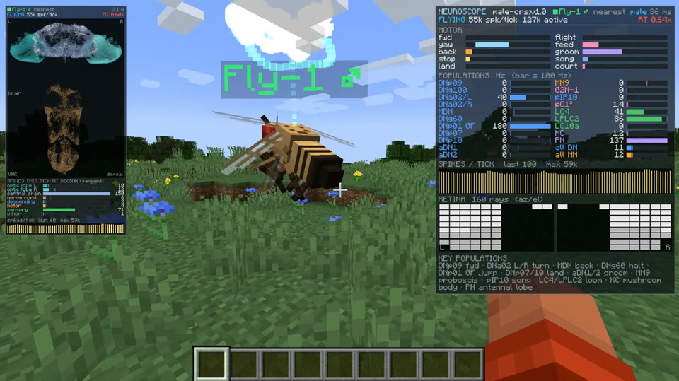 Fly Brain Minecraft project preview