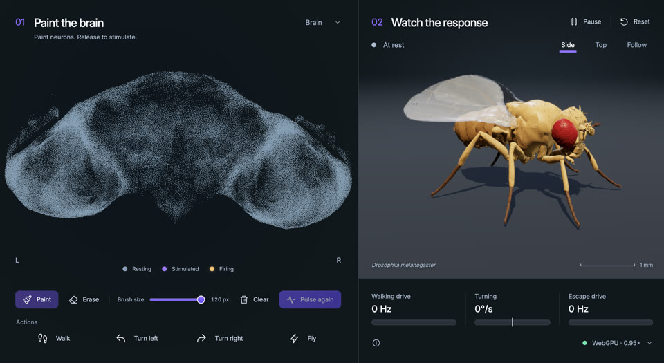 Neural Canvas project preview