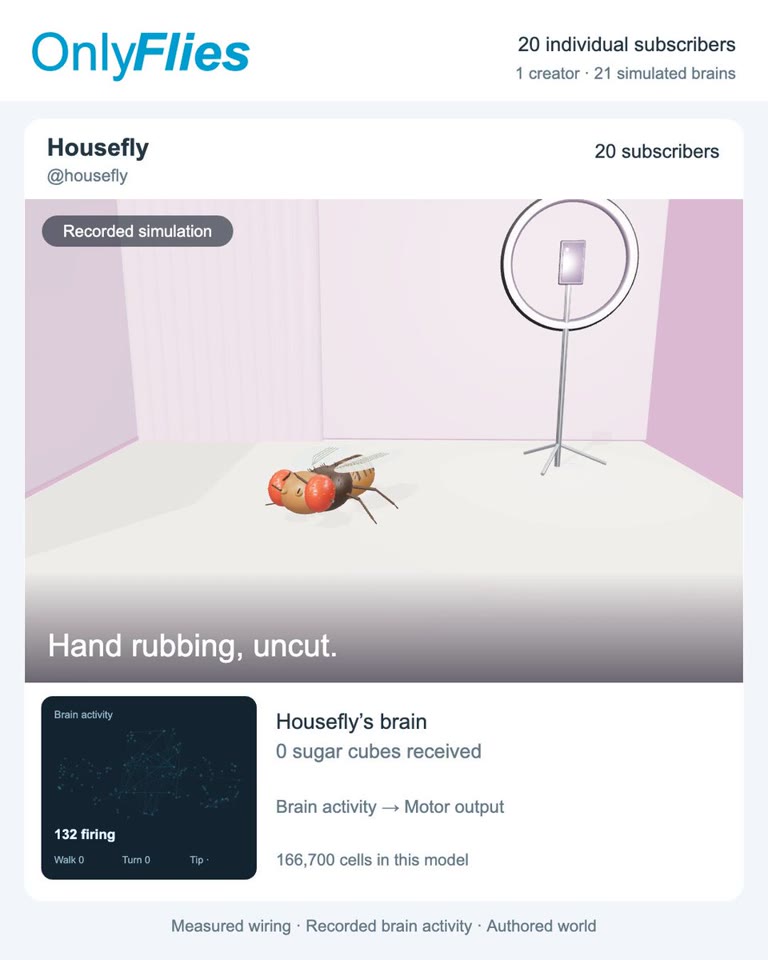 Onlyflies project preview