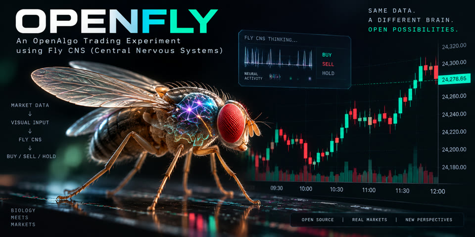 OpenFly project preview