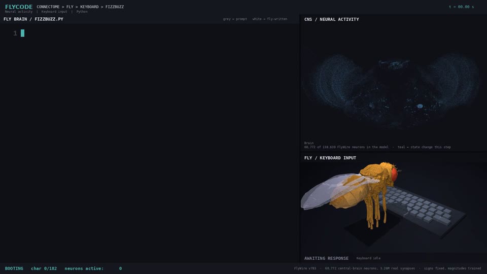 The Python fly project preview