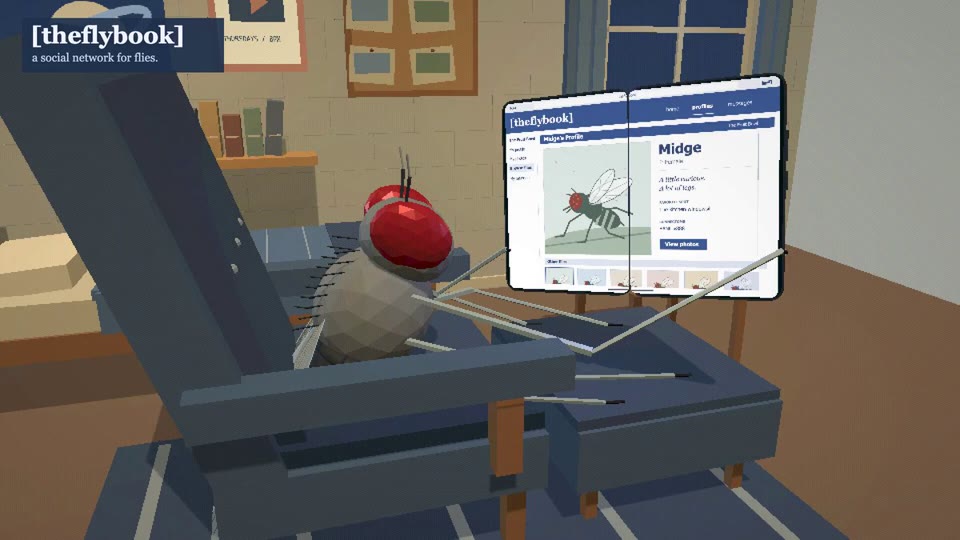 A social network for flies project preview