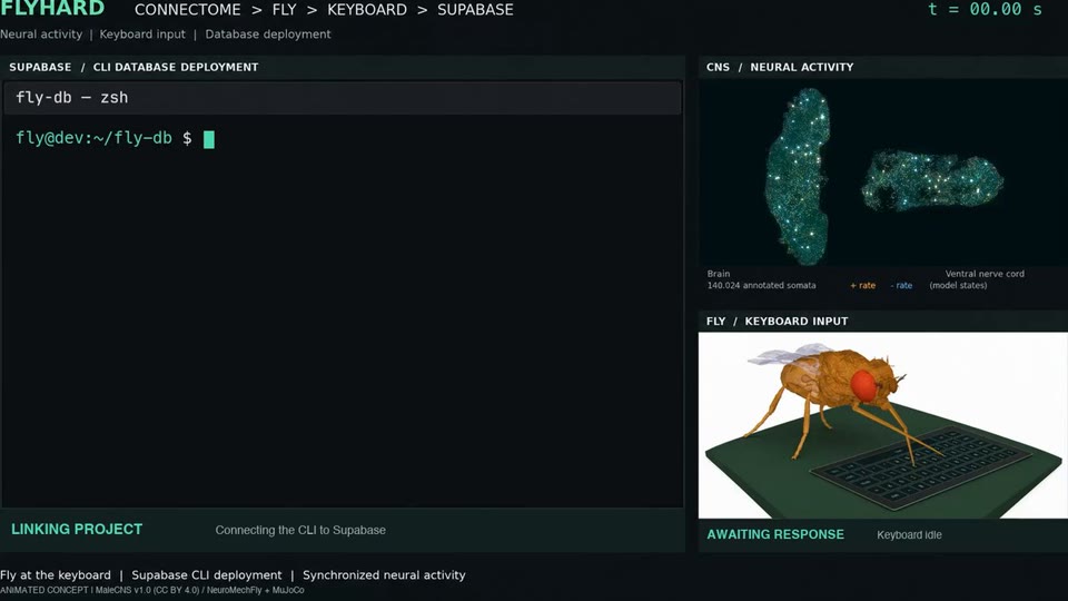 The database-deploying fly project preview